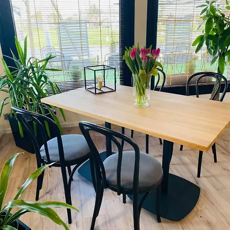 Astra Tajemniczy Ogrod