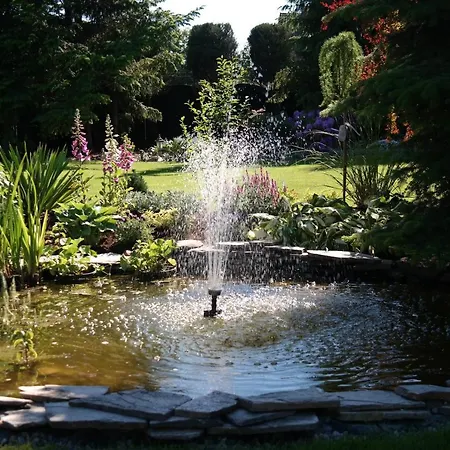 Astra Tajemniczy Ogrod 2*